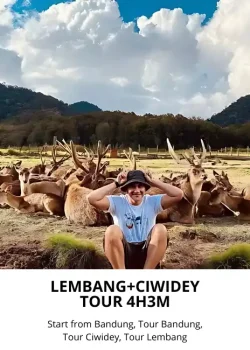 RP. 1.200.000