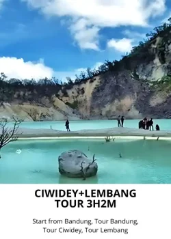 RP. 980.000