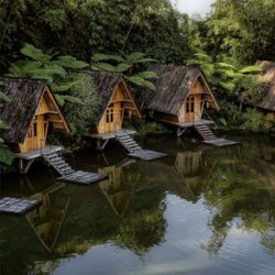 DUSUN BAMBU
