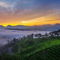 SUNRISE POINT CUKUL